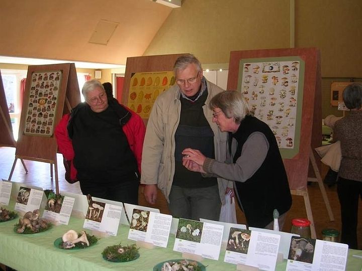 Expo champignons a St Leger 55